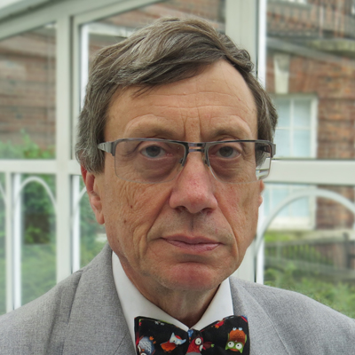 Professor Andrew Bush